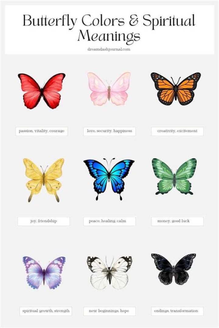 What Colour do butterflies bleed?