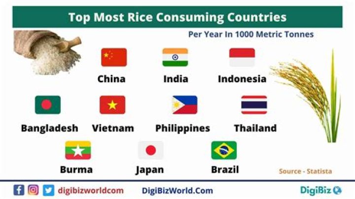 What country eats most rice?