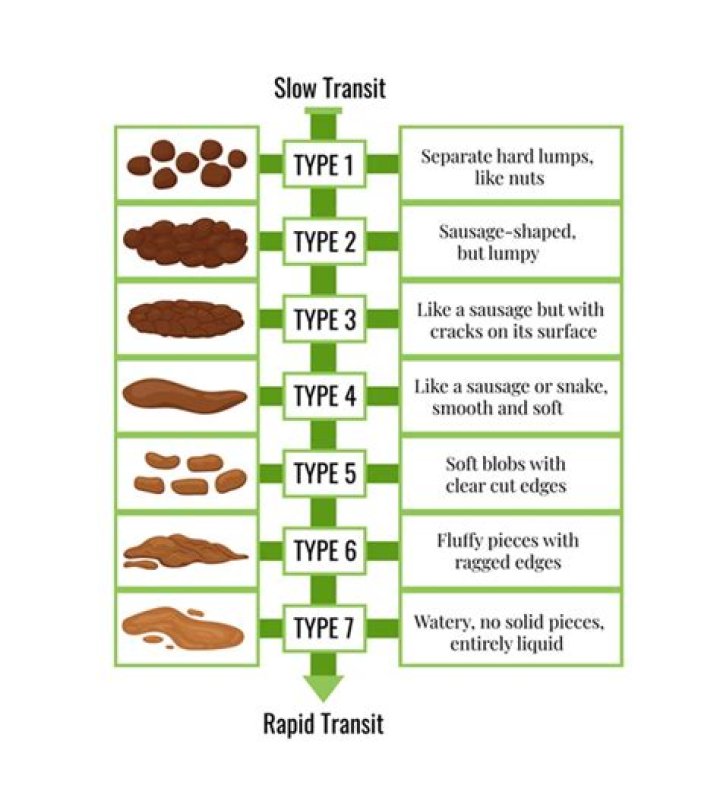 What do they do with human poop?