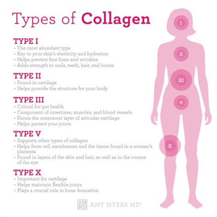 What does collagen do for a woman's body?