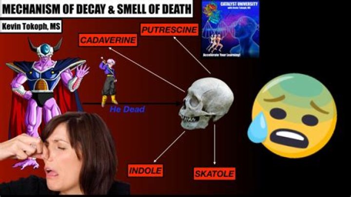 What does death smell like?
