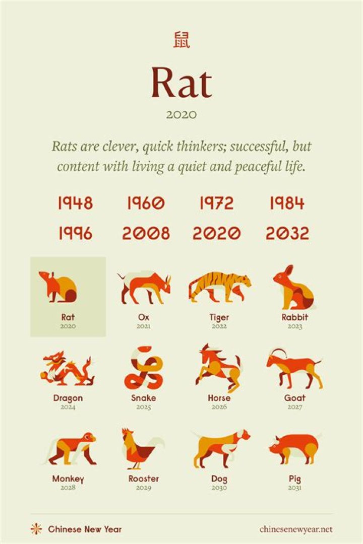 What does it mean to rat something?
