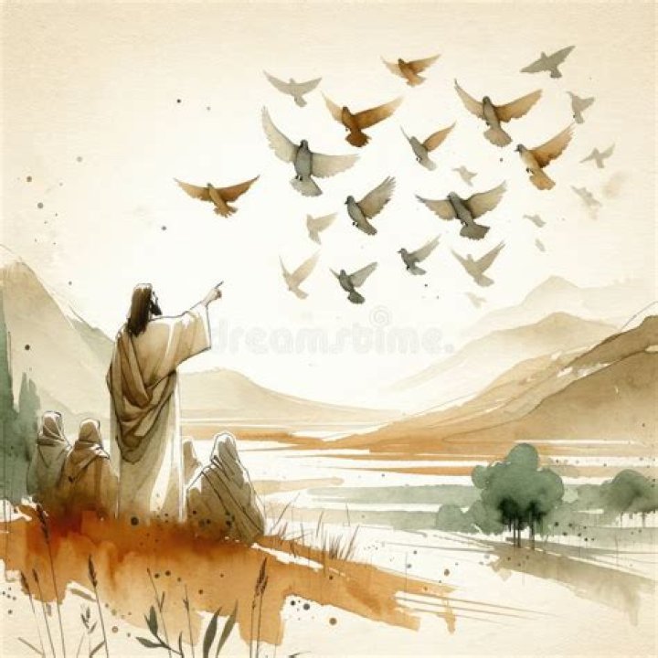 What does Jesus say about the birds and flowers?