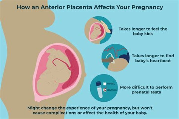 What does placenta do to the hair?