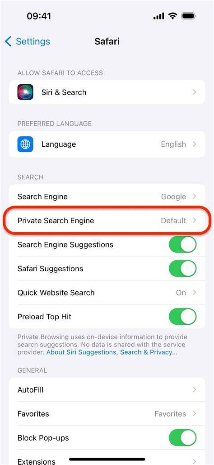 What does Safari private mode do?