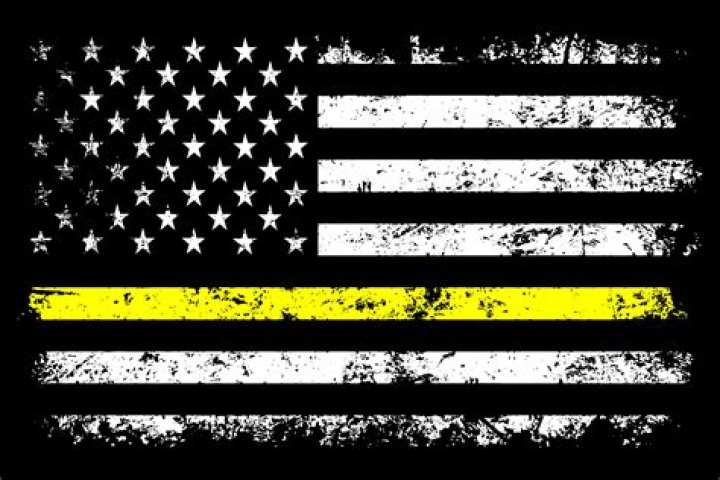 What does thin gold line stand for?