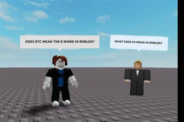 What does tt mean in Roblox?