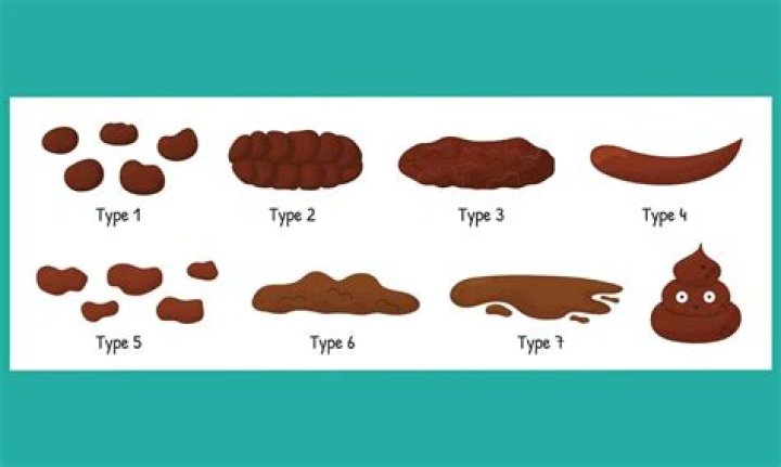 What does Type 7 poop mean?