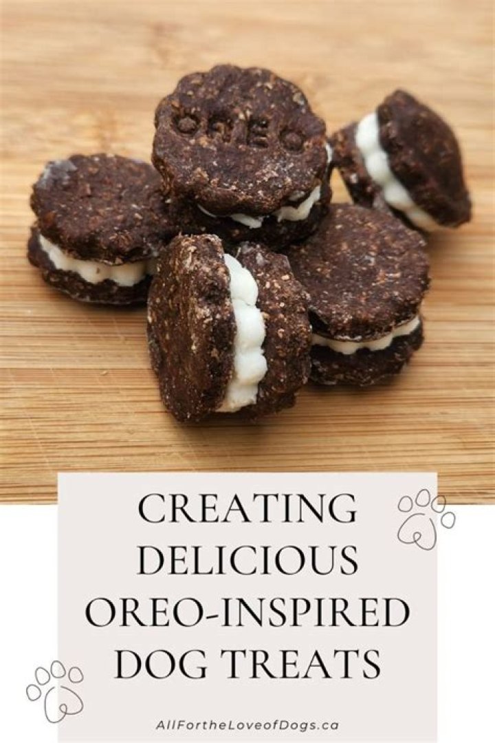 What is an Oreo dog?