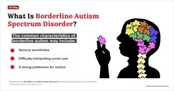 What is borderline autism?