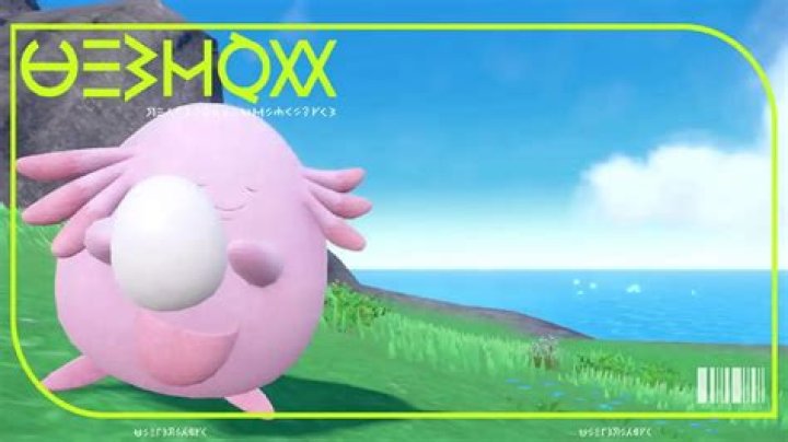 What is in Chansey's egg?