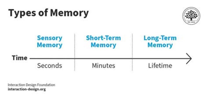 What is memory load in HCI?