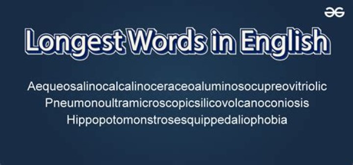 What is the 2nd longest word in the world?