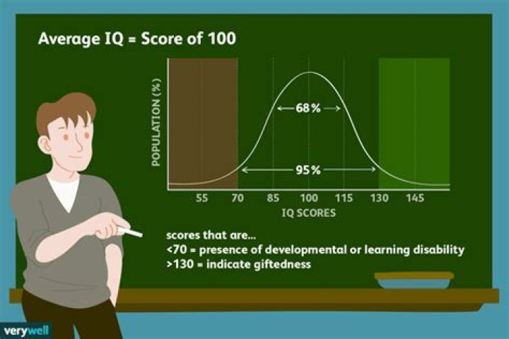 What is the average human IQ?