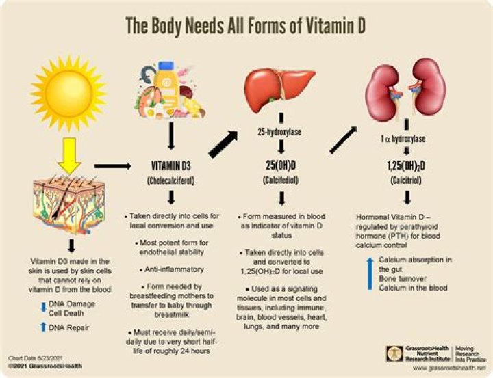 What is the best form of vitamin D?