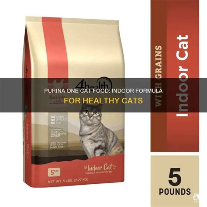 What is the healthiest food for indoor cats?