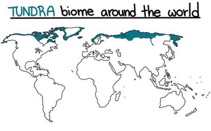 What is the ice biome?