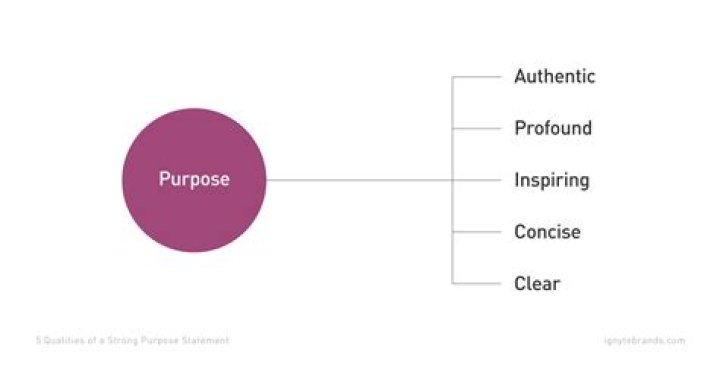 What is the main purpose of a critique?