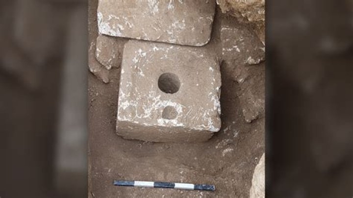What is the oldest known STD?