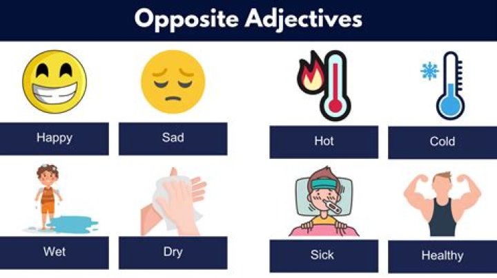 What is the opposite of 11?