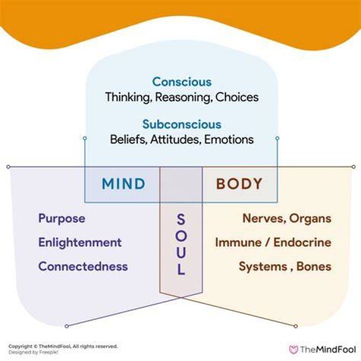 What is the soul theory?