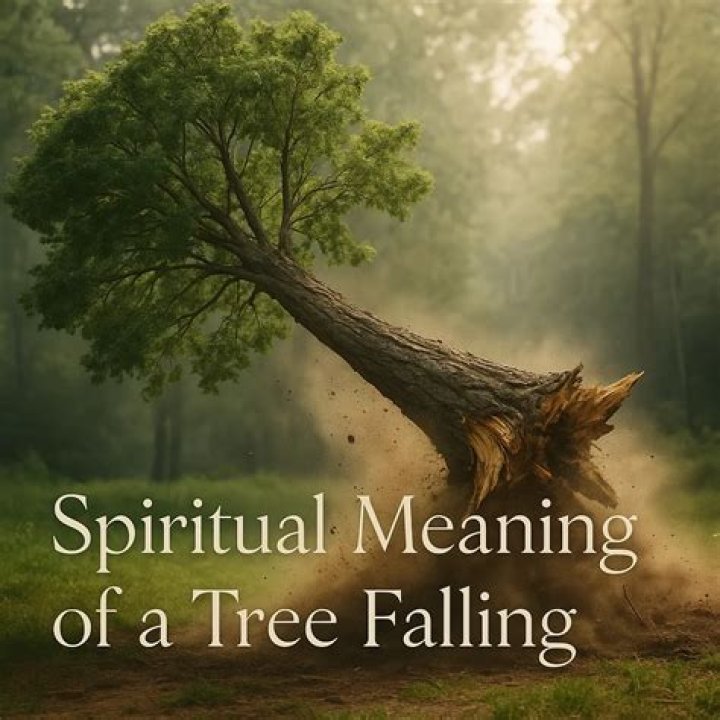 What is the spiritual meaning of soil?