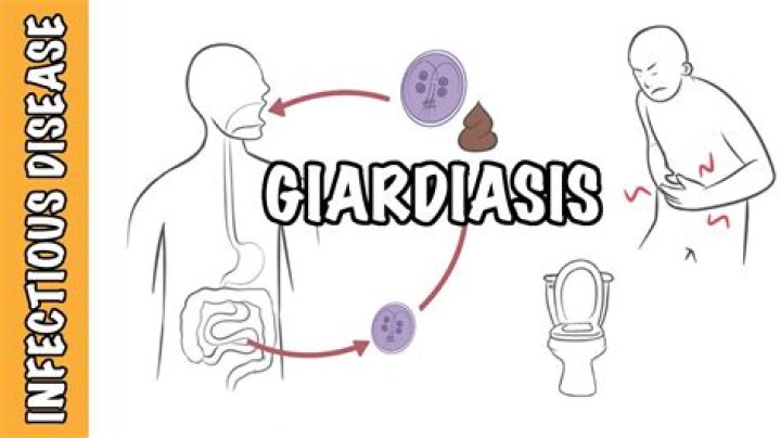 What kills human Giardia?