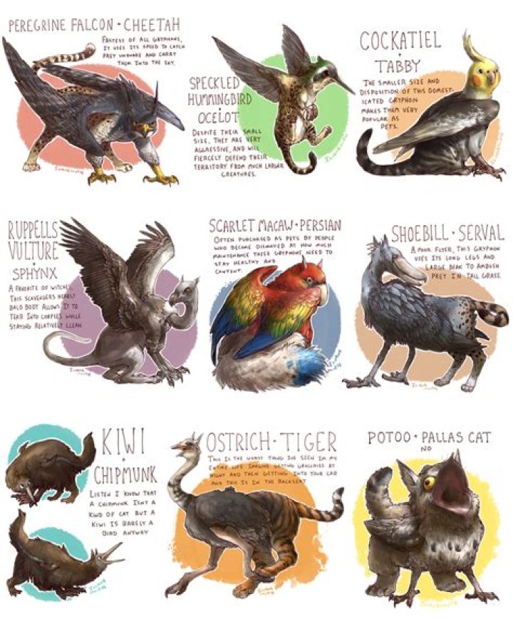 What kind of creature is Morris?
