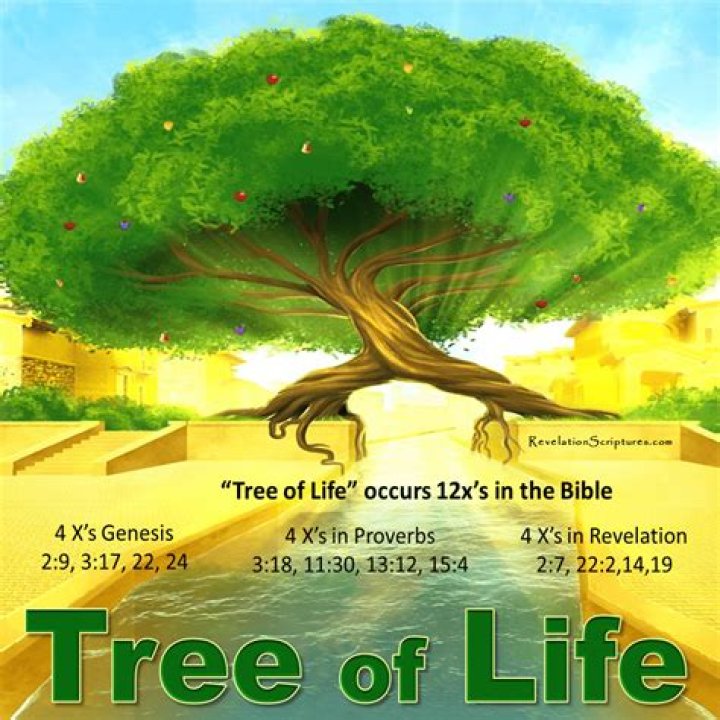 What kind of tree is the tree of life in New Orleans?