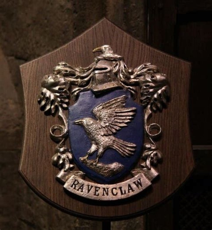 What makes Ravenclaw special?