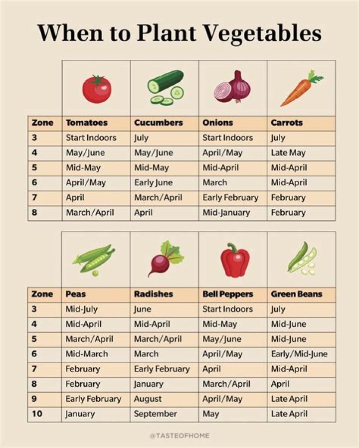 What month should I start my vegetable garden?