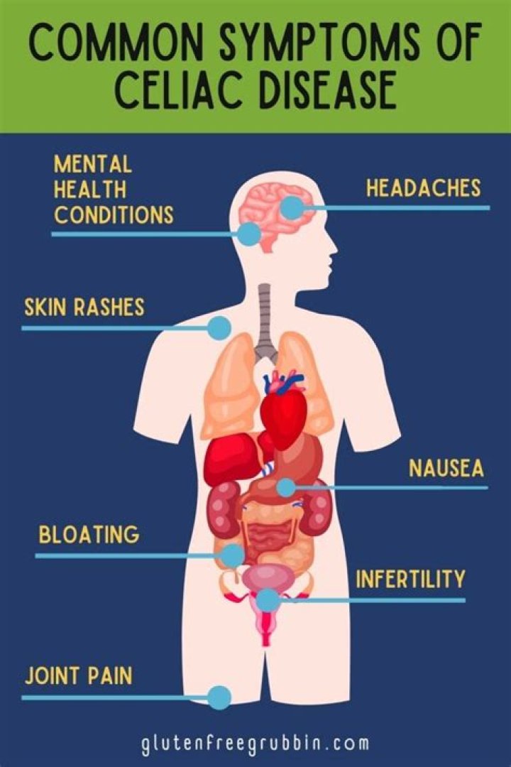 What part of the body does celiac disease affect?