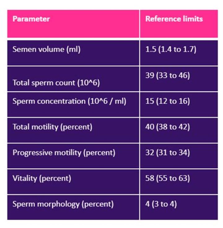 What time of day is sperm best?