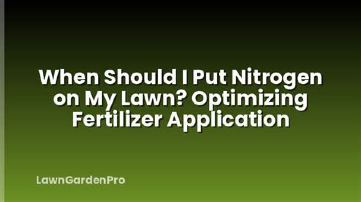 When should I put nitrogen on my lawn?