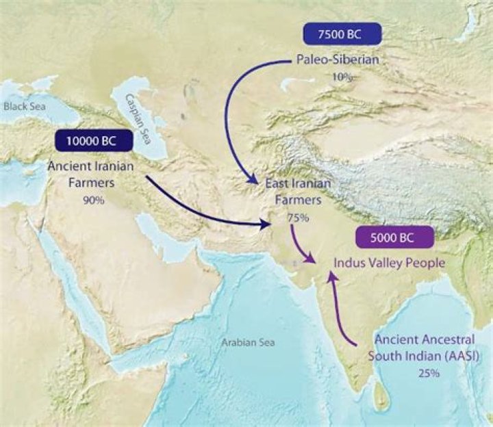 Where did Aryans came to India?