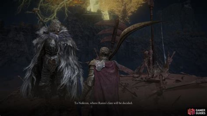 Where is Blaidd after you free him?