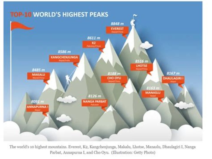 Which forest is highest in world?