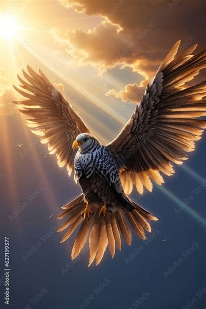Who is known as Bird of Heaven?