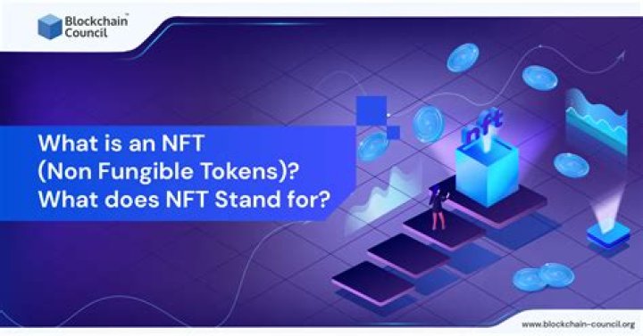 Who is the average NFT buyer?