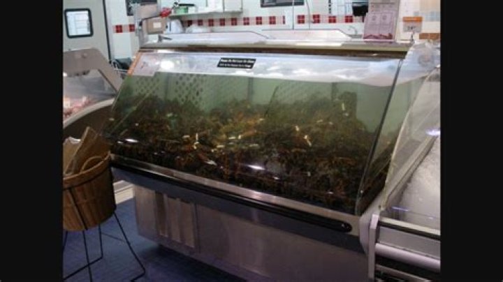 Why are there no lobster tanks in grocery stores anymore?