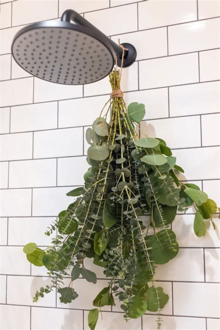 Why can't I smell my eucalyptus in the shower?