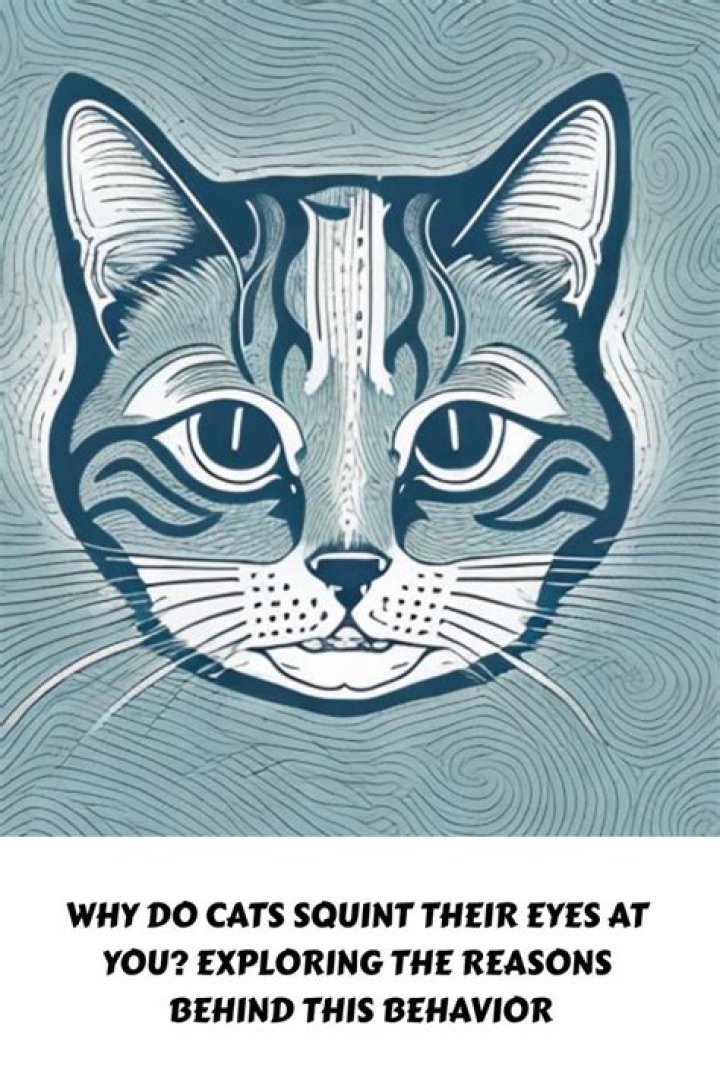 Why do cats squint their eyes at you?