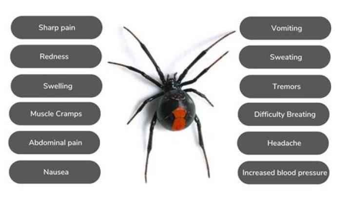 Why do we scream when we see a spider?