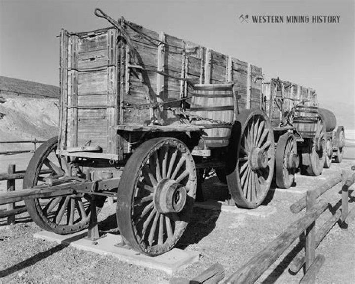 Why is it called 20 Mule Team Borax?