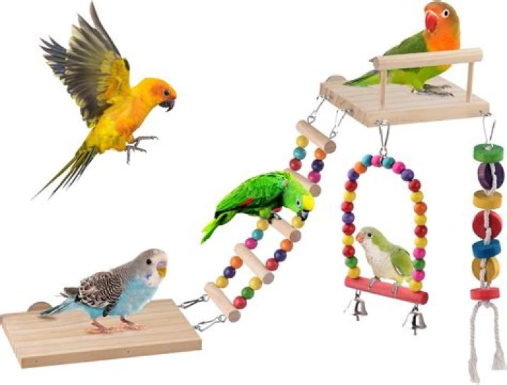 Why is my bird climbing its cage?